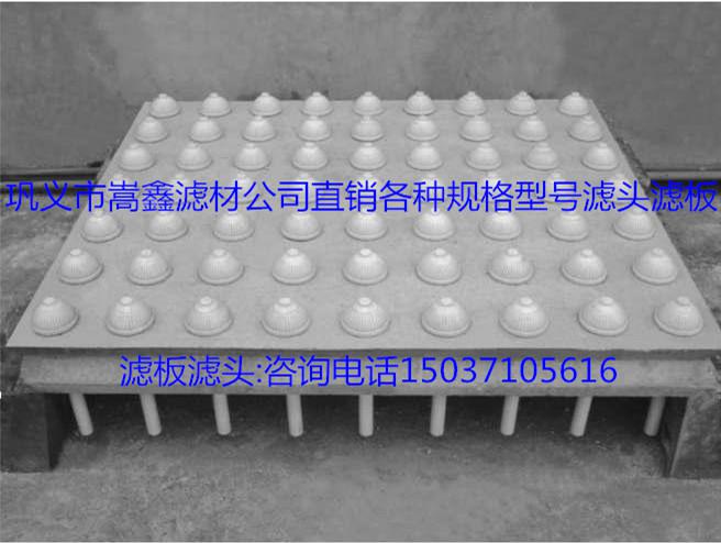 �V�^���V�����Vñ