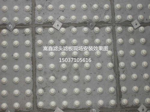 �V�^�V�尲�bЧ��