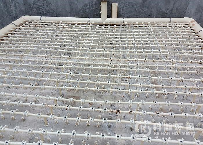 1669342554528843.jpg 202004101432244949.jpg